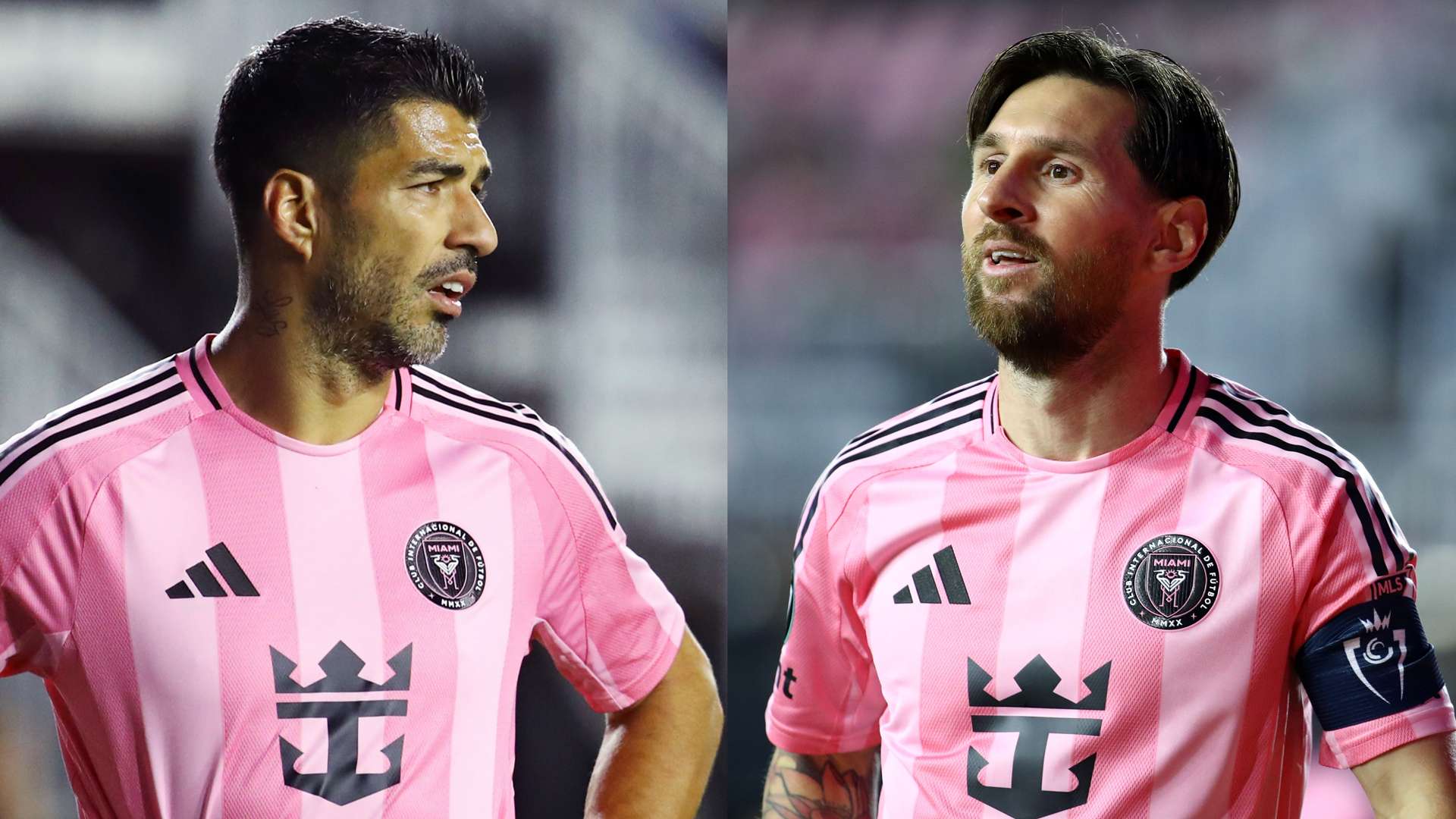 适当的时机 适当的时机